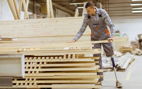 Disability in the Labor Market: Earnings