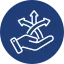 Co-borrower Flexibility