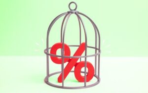 The Unintended Effects of Interest Rate Caps: Credit Reallocation to Safer Borrowers