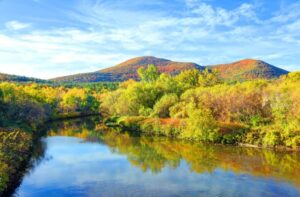 Hampden County, MA Housing Market Update: August 2026